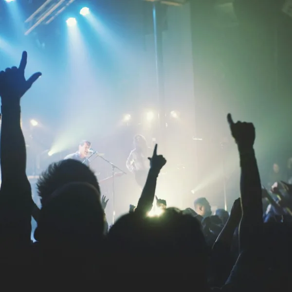 crowd cheering band during night time