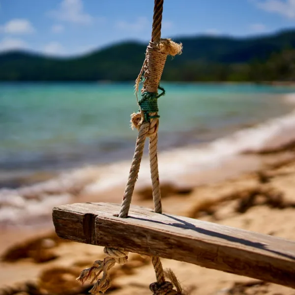 brown wooden swing on brown wooden log near body of water during daytime