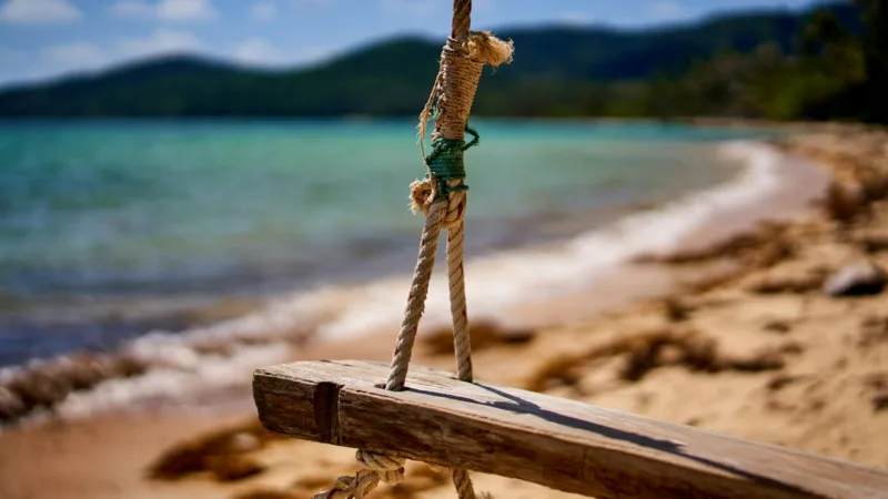 brown wooden swing on brown wooden log near body of water during daytime